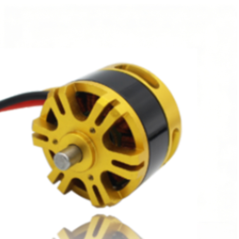 Sensorless Brushless DC Motor